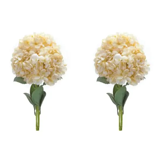 White Hydrangea Bush, 2ct. {1}