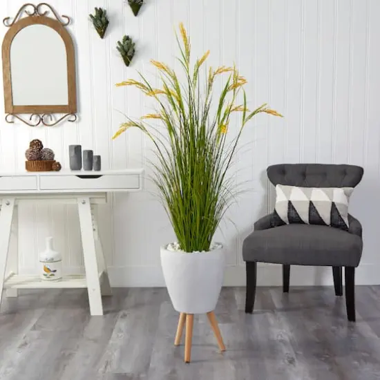 5ft. Wheat Grain Plant in Decorative White Planter {4}