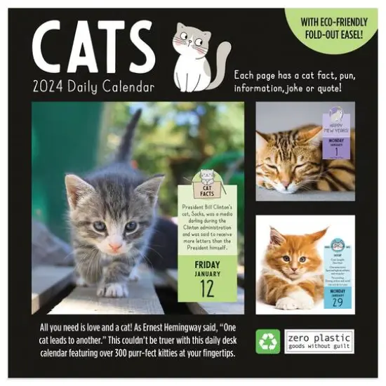 TF Publishing 2024 Cat A Day Daily Desktop Calendar {6}