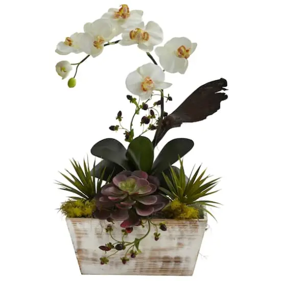 21" Orchid & Succulent Garden in White Wash Planter {1}