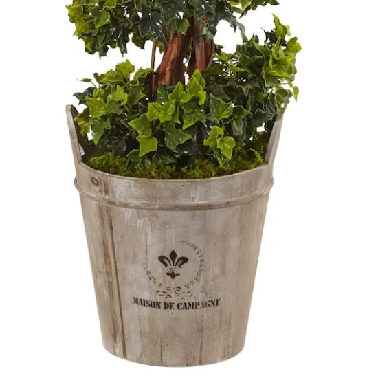 4ft. English Ivy Tree in Farmhouse Planter {4}