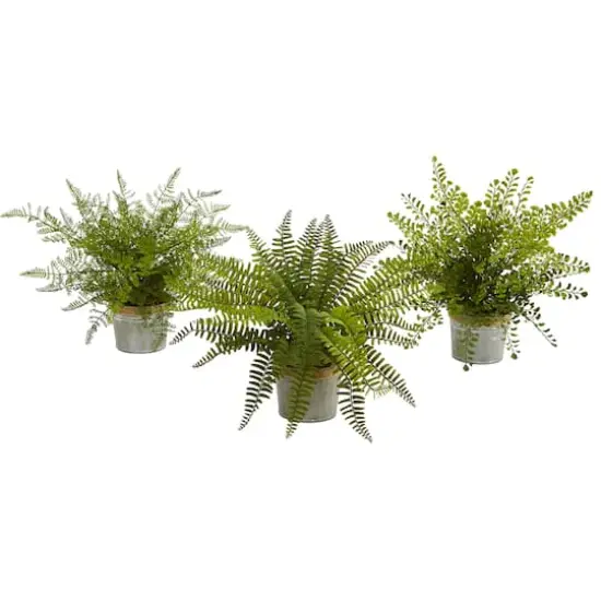 14" Fern In Decorative Pot, 3ct. {1}