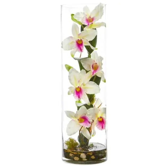 20'' White Cattleya Orchid Arrangement in Cylinder Vase {1}