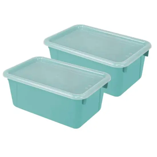 Storex Small Cubby Bin with Cover, 2ct. Teal {1}