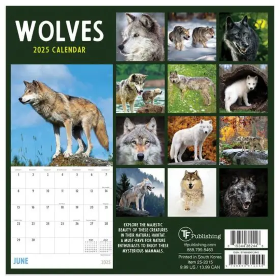 TF Publishing 2025 Wolves Mini Calendar {3}