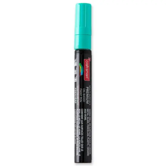 Chisel Tip Multi-Surface Premium Paint Pen by Craft Smart&reg; Peppermint {6}