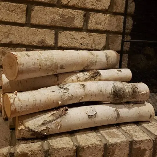 Wilson® Enterprises 5"-6" Large White Birch Fireplace Set, 5ct. {6}