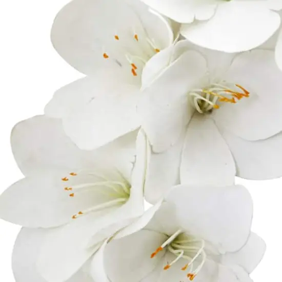 24'' White Amaryllis Wreath {3}