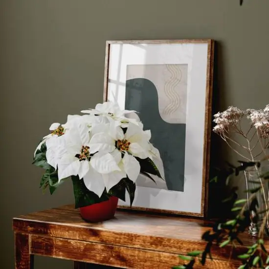 12" Potted White Poinsettia Set {5}