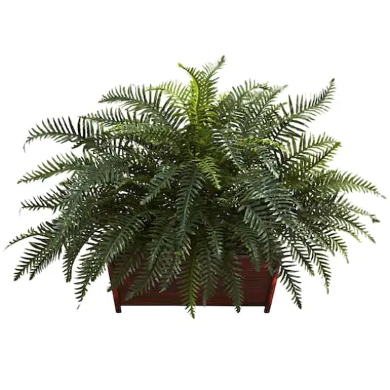 2.5ft. River Fern in Wood Planter {1}