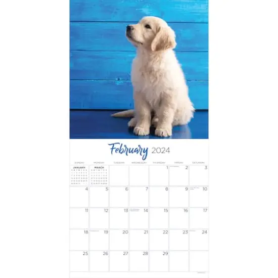 TF Publishing 2024 Golden Retrievers Wall Calendar {4}