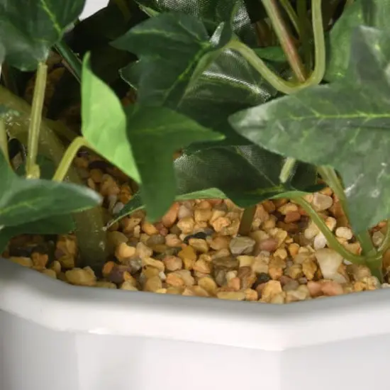 3.5ft. Purple Morning Glory Hanging Plant {4}