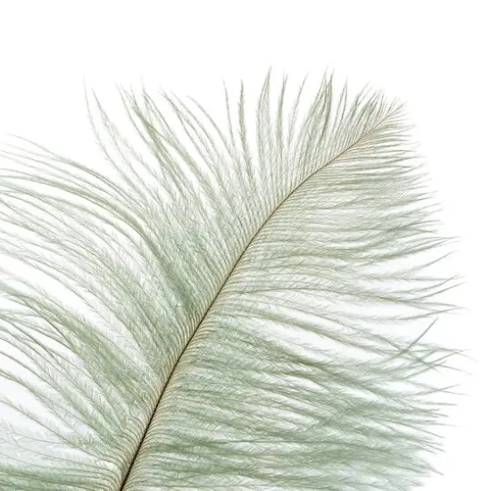 John Bead 11"-13" Ostrich Drab Feather Seafoam {3}