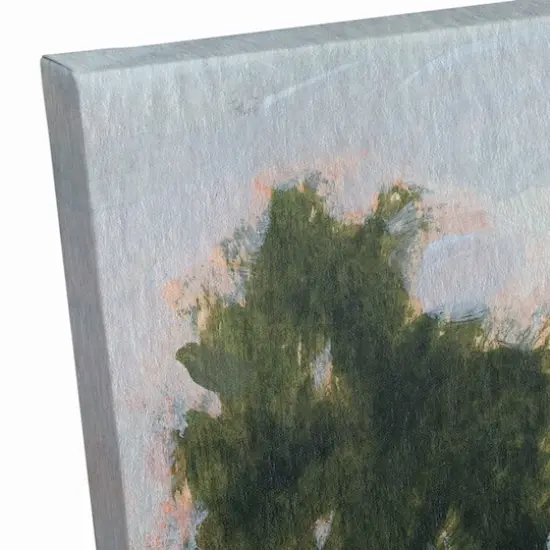 Mountain Pines 20" x 16" Canvas Wall Art {6}