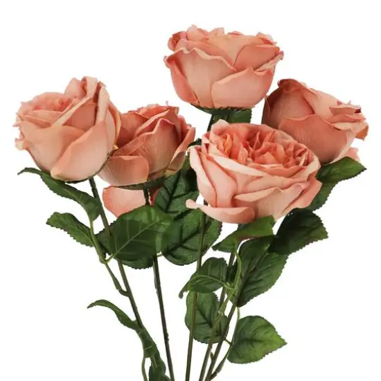 19" Pink Cabbage Rose Deluxe Bush by Ashland&reg; {3}