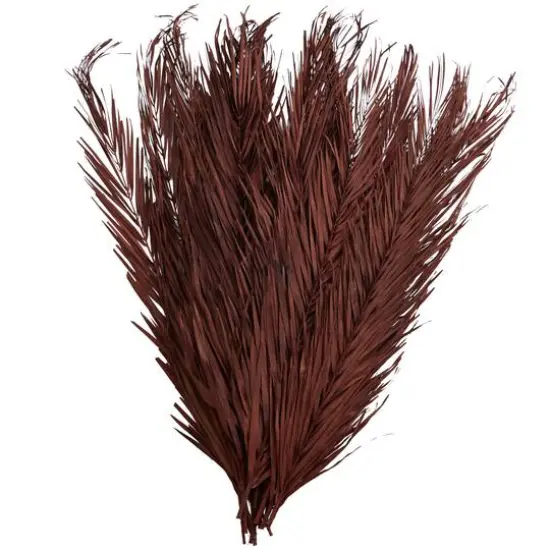 43" Natural Dried Plant Palm Leaf Bunch with Feather-Inspired Stems Dark Brown {6}