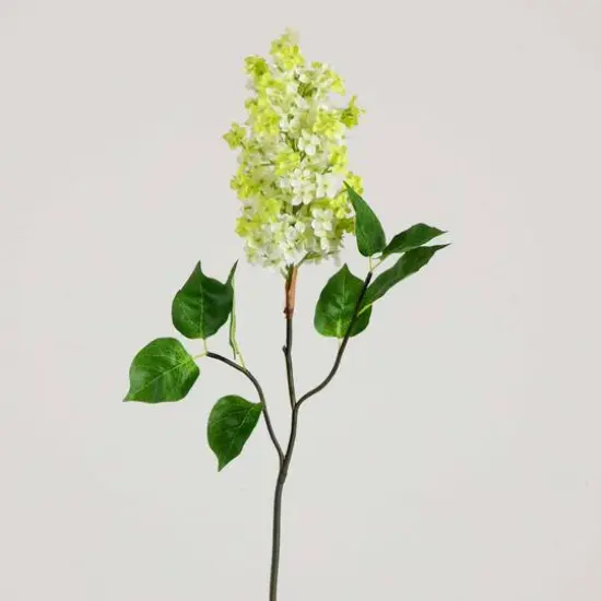 36" White Lilac Flower Stems, 3ct. {11}