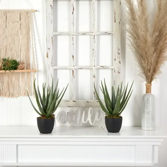 18" Potted Aloe Plant, 2ct. {4}