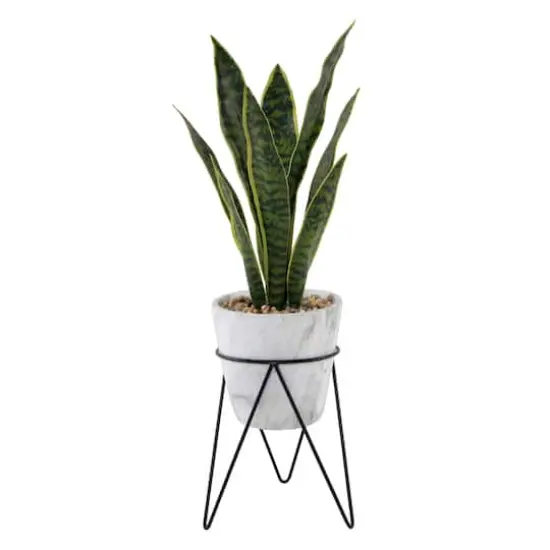 Flora Bunda&reg; 1.75ft. Snake Plant In Marble On Metal Stand {1}