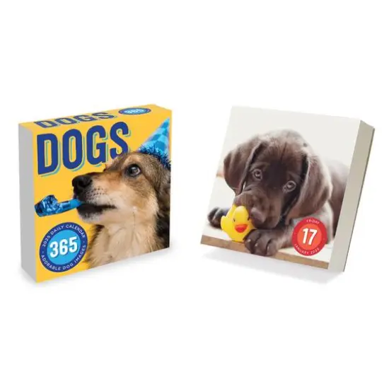TF Publishing 2025 Dog A Day Daily Desktop Calendar {7}