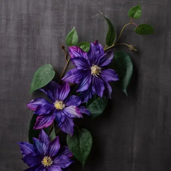 Purple Tropical Clematis Stem by Ashland&reg; {3}