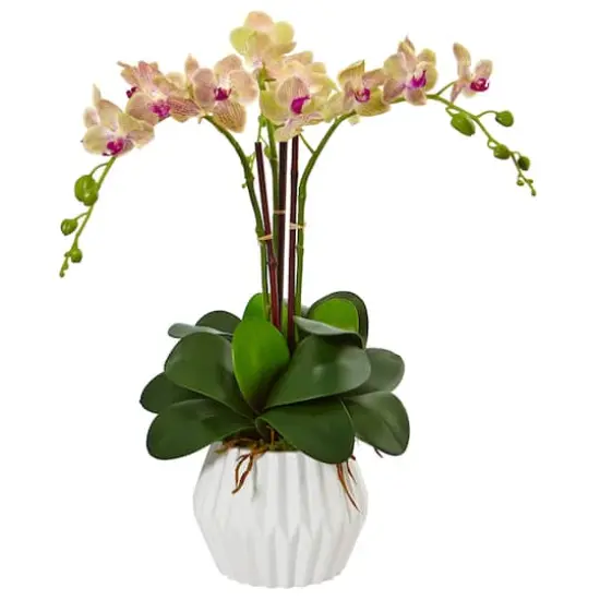 22" Cream & Purple Moth Orchid Silk Arrangement in White Vase {1}