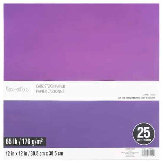12" x 12" Cardstock Paper by Recollections&trade;, 25 Sheets Grape {1}