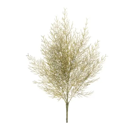 Glittered Green Cedar Sprays, 6ct. {3}