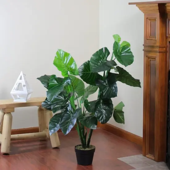4 ft. Two-Tone Potted Wide Taro Leaf Plant {3}