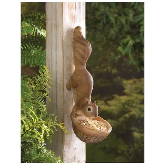 13" Scurrying Squirrel Bird Feeder {3}