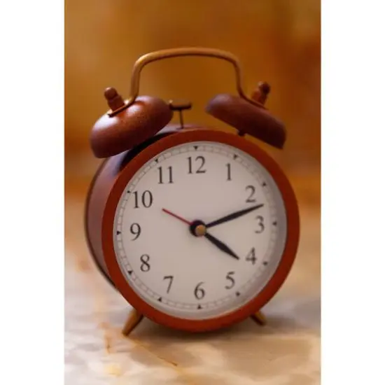 Montana&trade; Cans Rust Brown EFFECT Rust Spray {27}