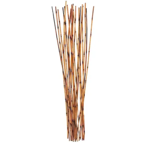 41" Brown Bamboo Sticks Natural Foliage {5}