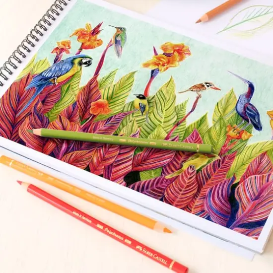 Faber-Castell Polychromos 120 Color Colored Pencil Set in Wood Case {4}