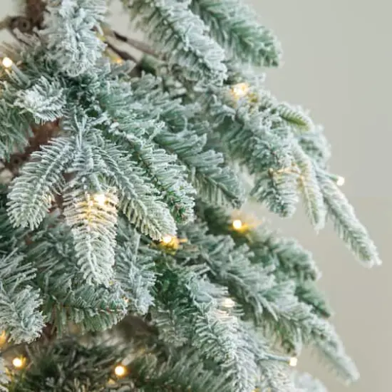 7.5ft. Pre-Lit Flocked Pencil Spruce Artificial Christmas Tree, Warm White LED Lights {5}