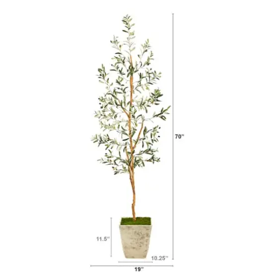 6ft. Olive Artificial Tree in Country White Planter {3}