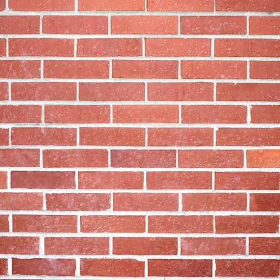 HangZ&trade; 10lb. Brick Hooks, 2ct. {4}