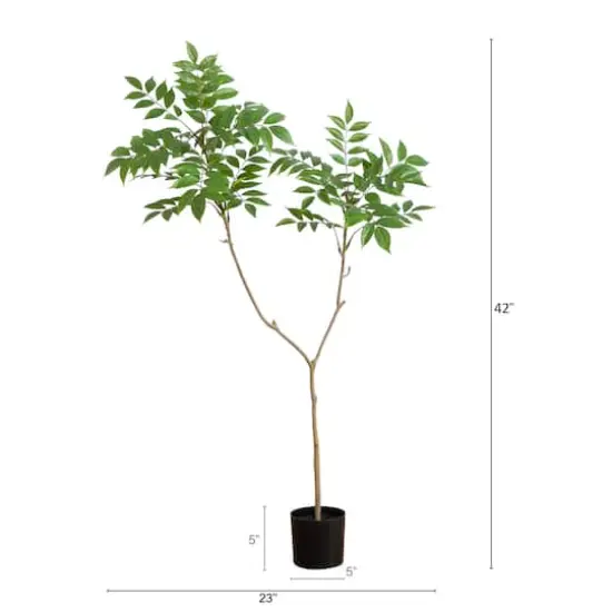 3.5ft. Potted Sumac Tree {5}