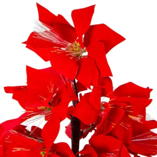 4ft. Pre-Lit Fiber Optic Color Changing Red Poinsettia Artificial Christmas Tree {5}
