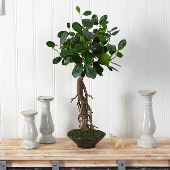2ft. Ficus Bonsai Artificial Tree in Decorative Planter {4}