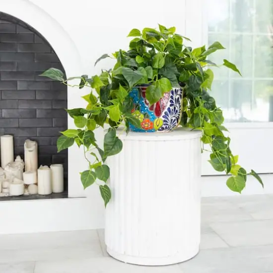 3.5ft. UV-Resistant Artificial Philodendron in Handmade Mexican Talavera Ceramic Planter {3}