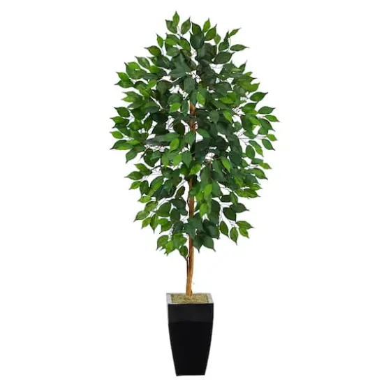 4.5ft. Ficus Tree in Black Metal Planter {1}