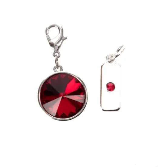 Austrian Crystal Birth Month Charm Set by Bead Landing&trade; Garnet Red/January {4}