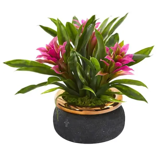 11" Bromeliad Plant in Stoneware Planter {1}