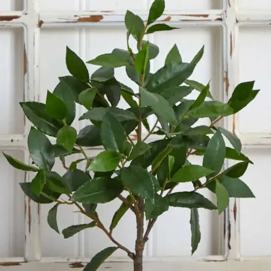 2.5ft. Topiary in Decorative Planter {7}