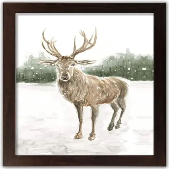 Winter Deer Walnut Framed Print Under Plexiglass {1}