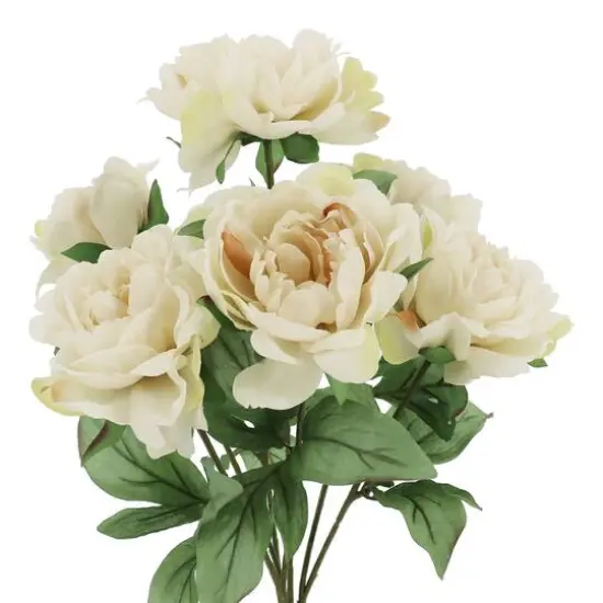 19" Peony Deluxe Bush by Ashland&reg; Cream {3}
