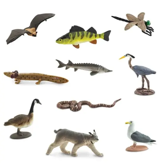 Safari Ltd&reg; TOOB&reg; Great Lakes {5}