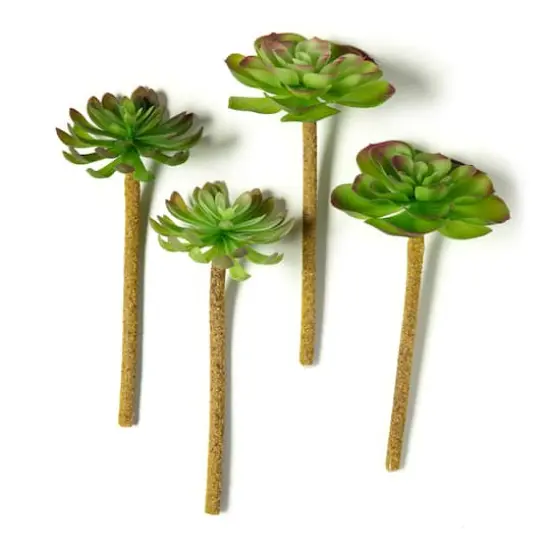 Assorted 11" Red Tipped Succulent Pick by Ashland&reg; {1}