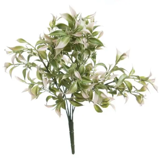 13" Pink Ruscus Bush by Ashland&reg; {1}