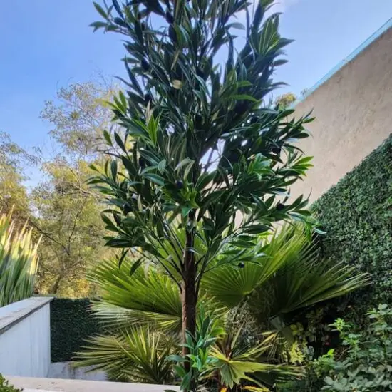 GreenSmart Dekor 4ft. Artificial Olive Tree Plant in Black Pot {4}